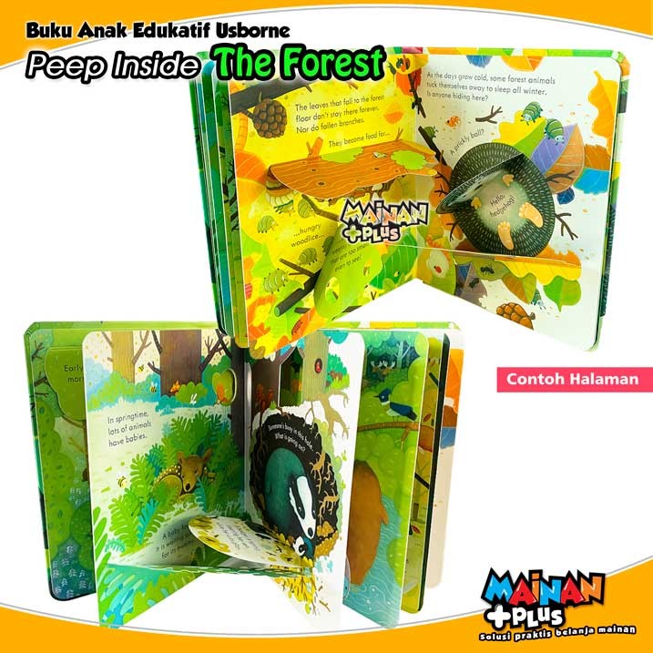 Buku Edukasi Aktivitas Anak Usborne 3D Peep Inside The Forest Book 