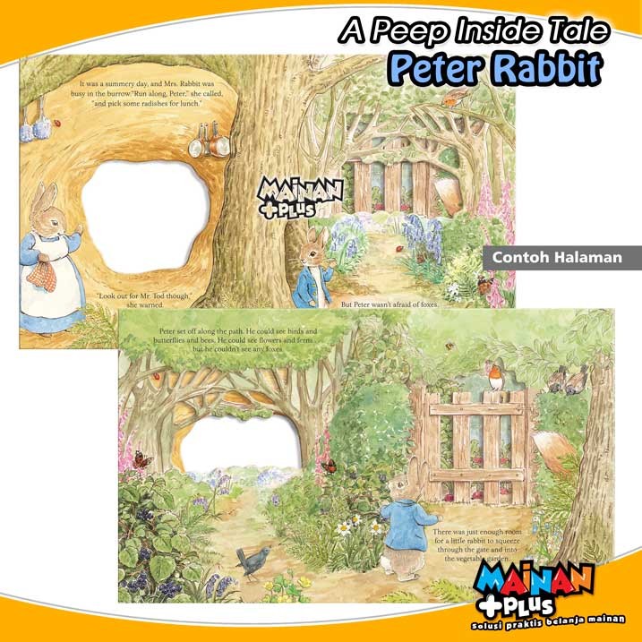 Buku Edukasi Aktivitas Anak Usborne 3D A Peep Inside Tale Peter Rabbit